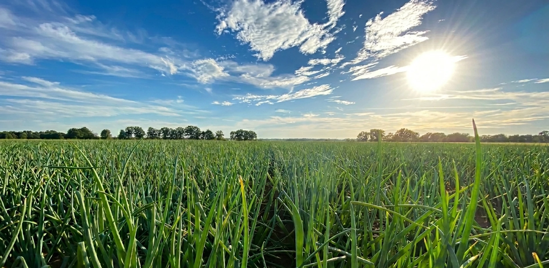 Gospodarstwo rolne Agro-Malz
